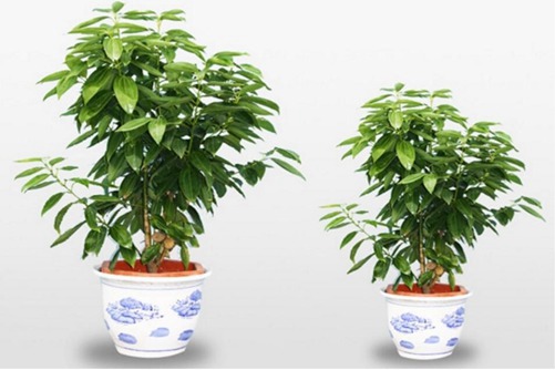 镜头MM是意思国产又色又刺激高潮免费视频，揭秘摄影圈的神秘术语，你不可不知的摄影新概念！
